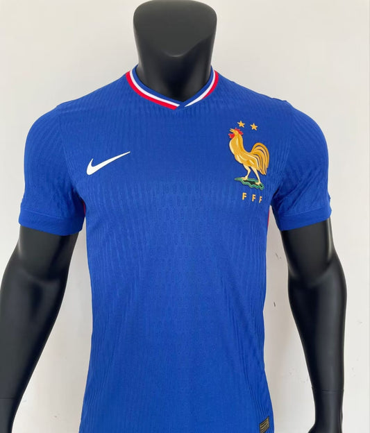 France home