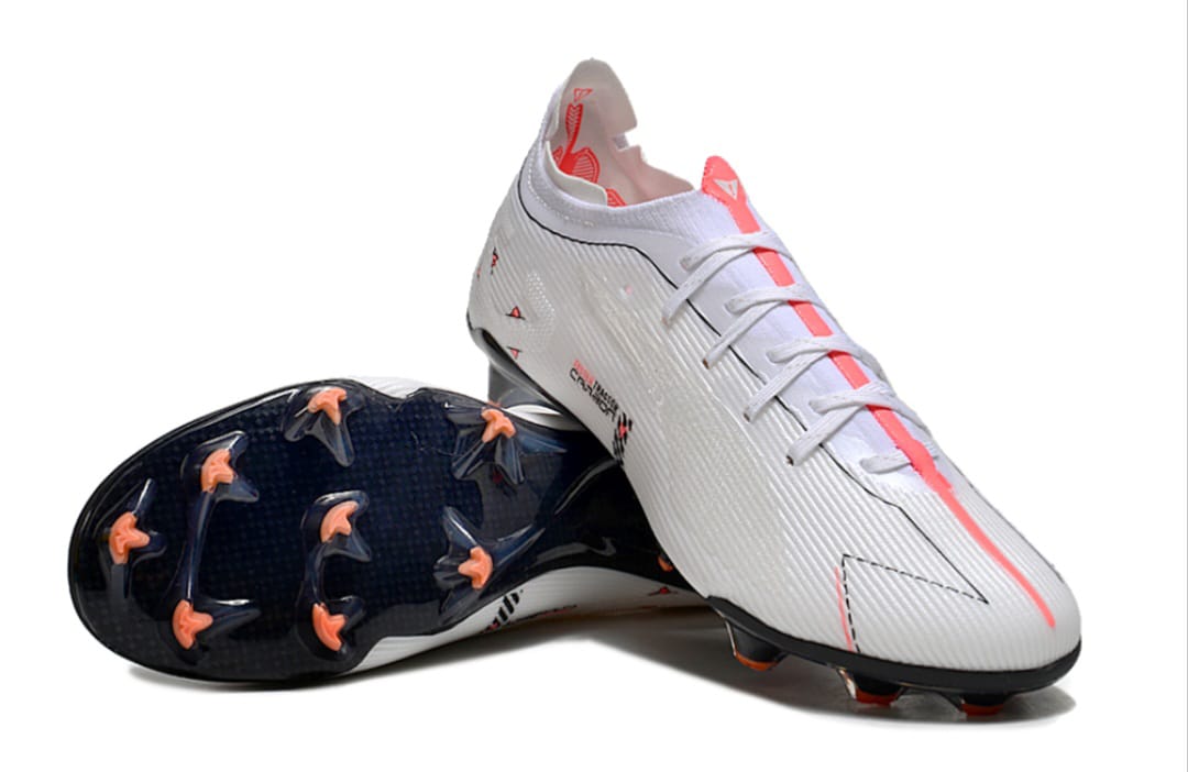 Puma ultra cabon
