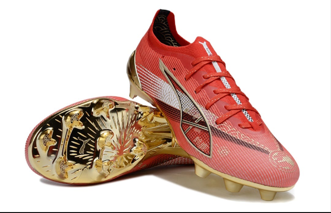 Puma ultra cabon