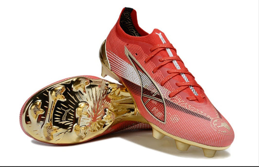 Puma ultra cabon