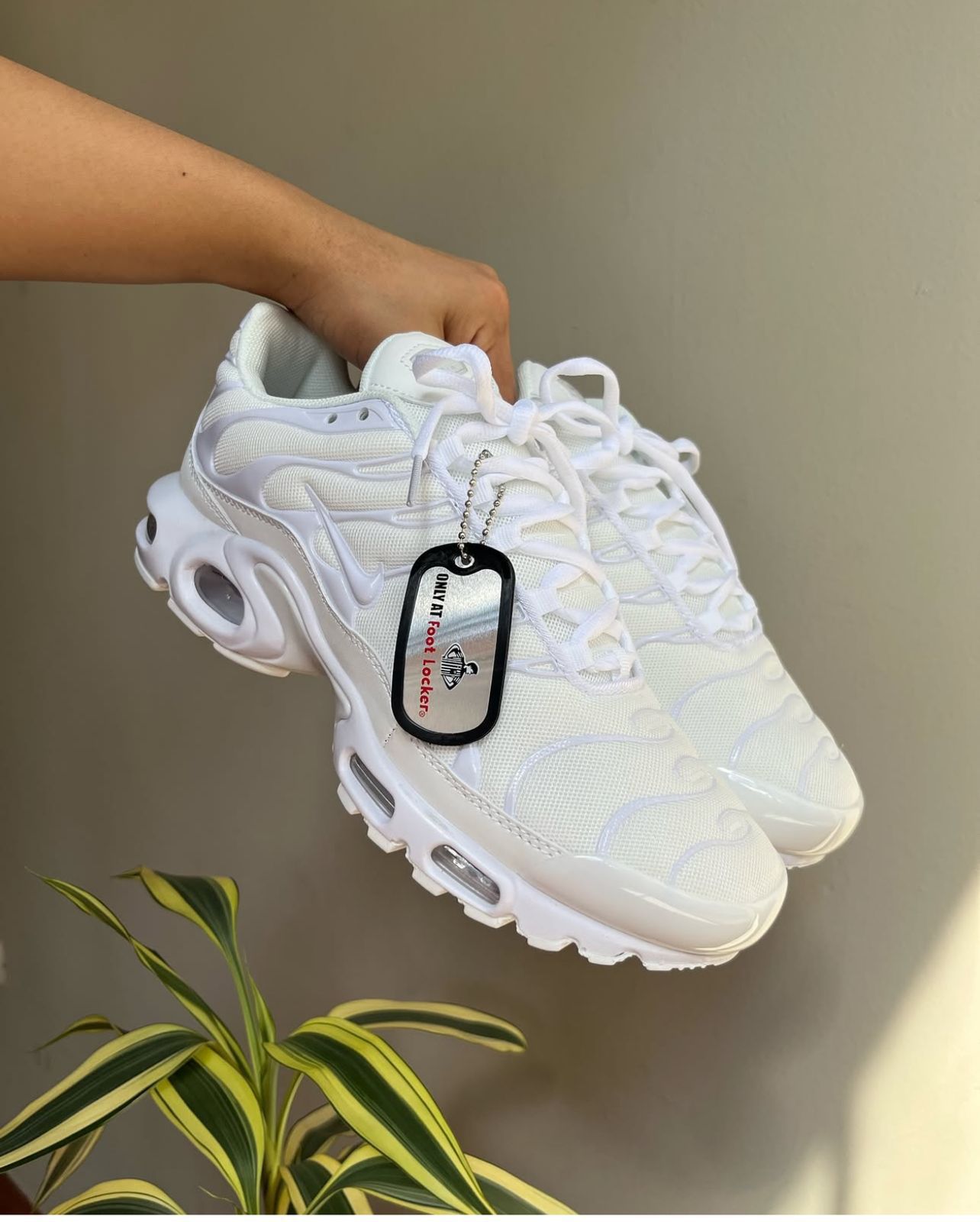 Nike air max 95